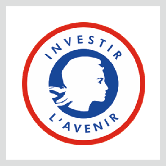 Logo du Programme d'investissements d'avenir